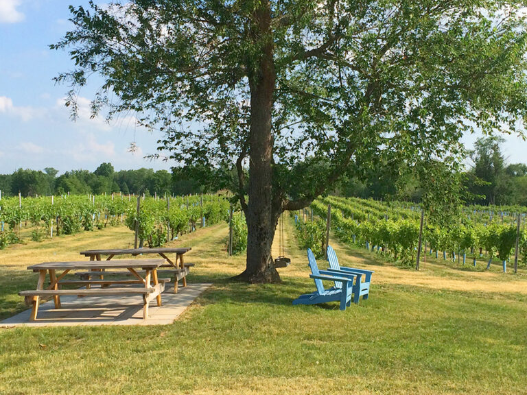 Clermont Vineyards & Winery Producing Fine Wines in the Hudson River